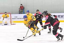 Le hockey sur glace aux Jeux Olympiques comme temps de jeu